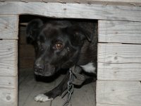 Ната Цветочееек, Санкт-Петербург, id92644383